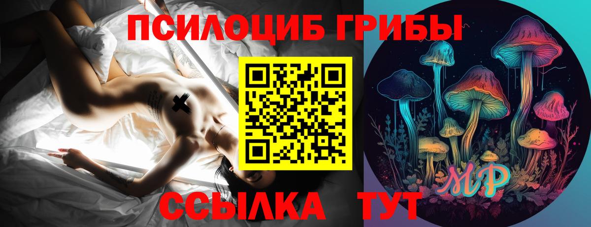 Феодосия  Галлюциногенные грибы прущие грибы  Вход с VPN 